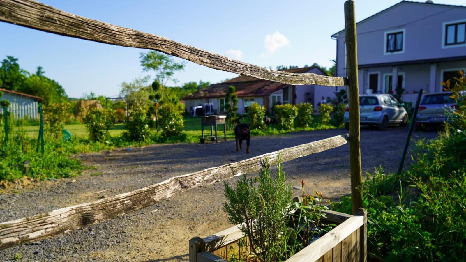 Wine House Bed and Breakfast Capannori Εξωτερικό φωτογραφία