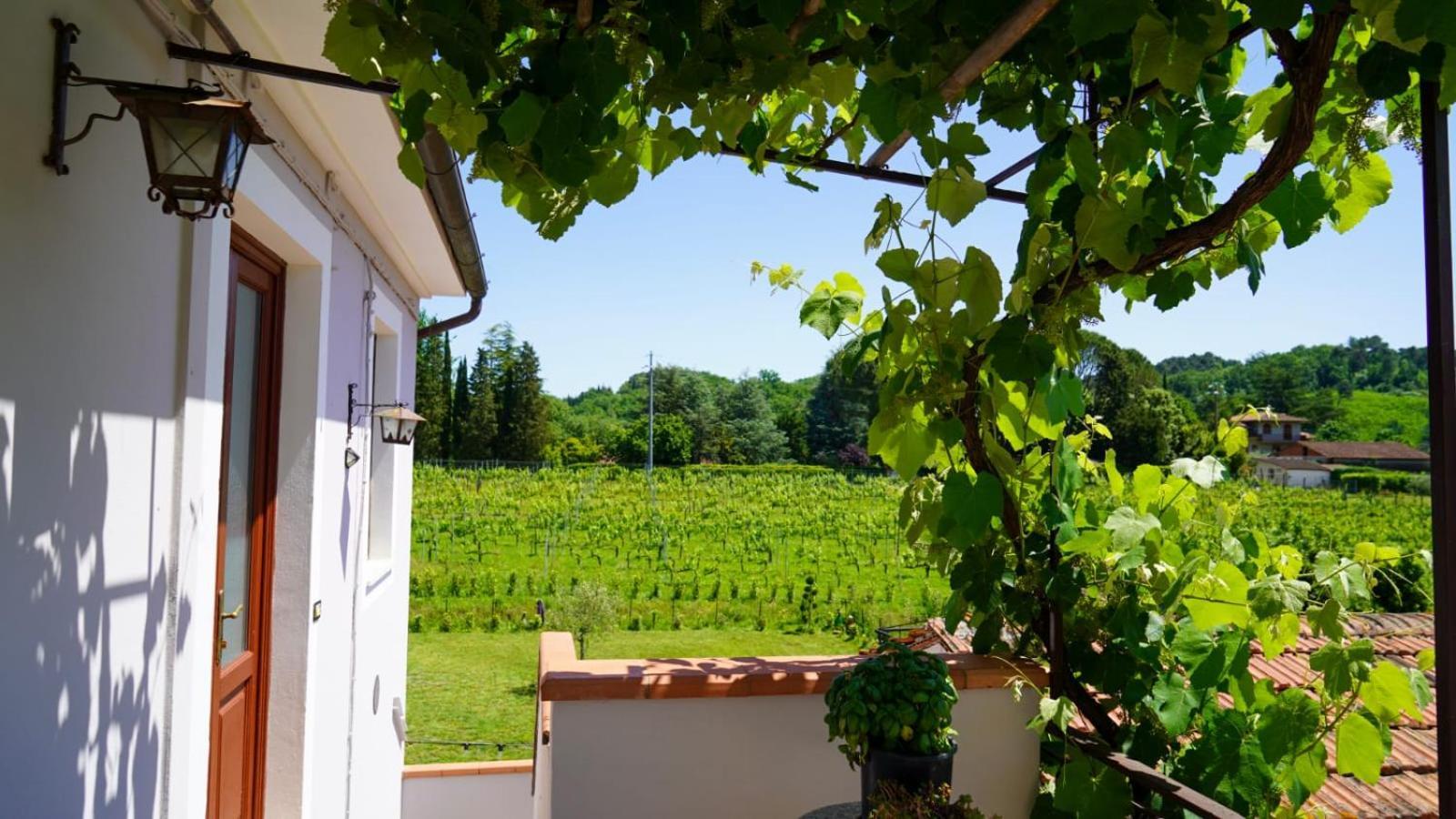 Wine House Bed and Breakfast Capannori Εξωτερικό φωτογραφία
