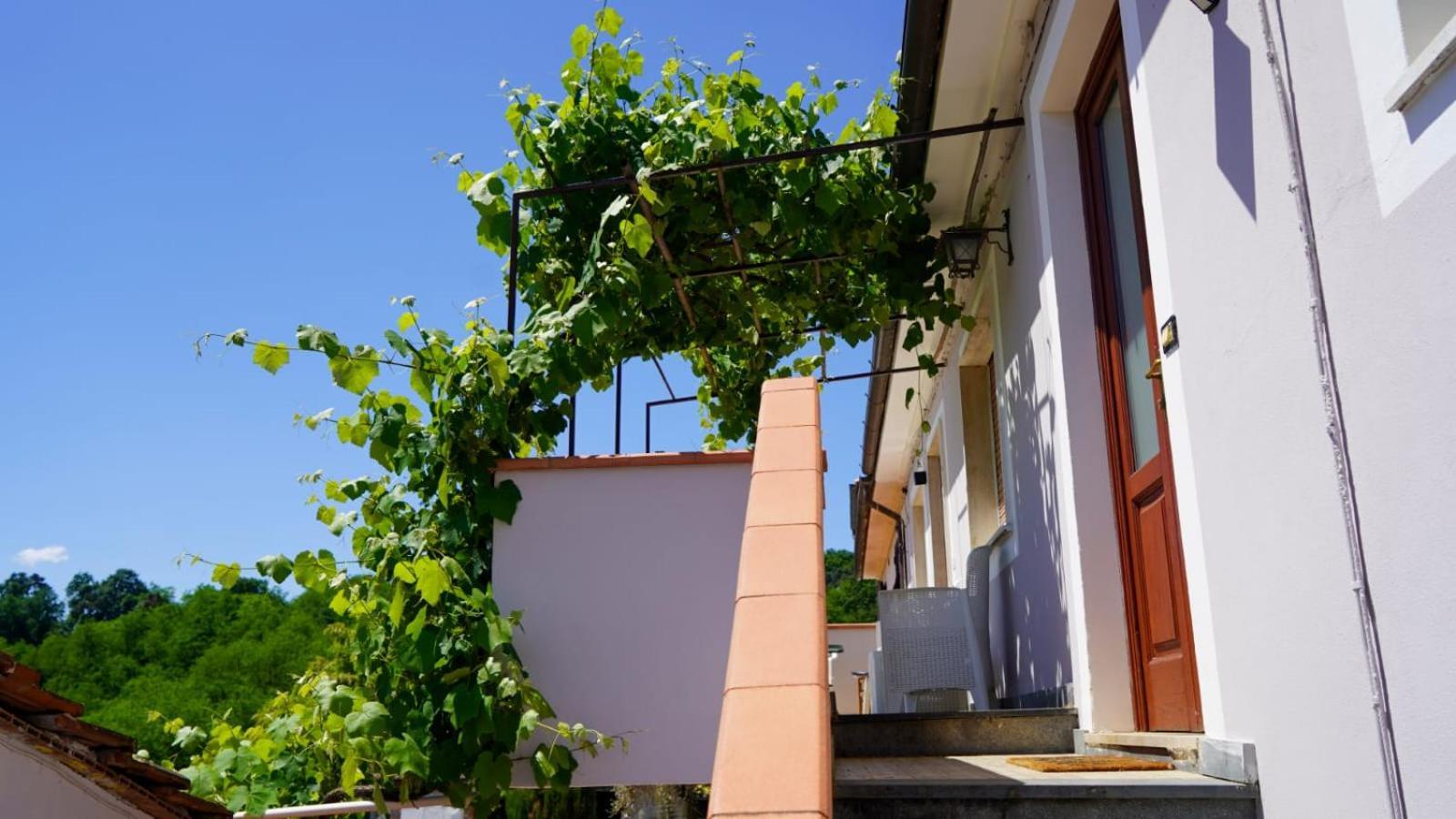 Wine House Bed and Breakfast Capannori Εξωτερικό φωτογραφία