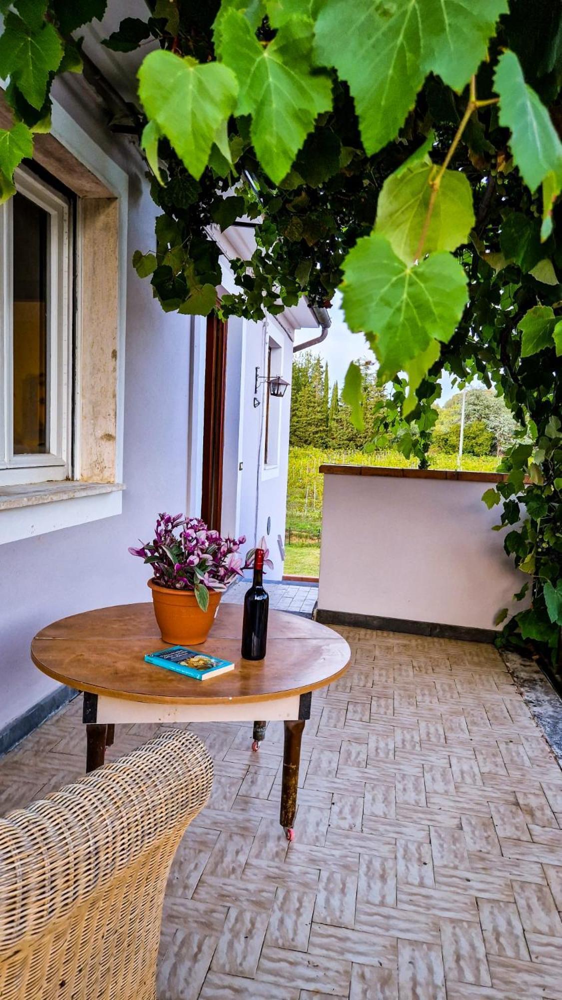 Wine House Bed and Breakfast Capannori Εξωτερικό φωτογραφία