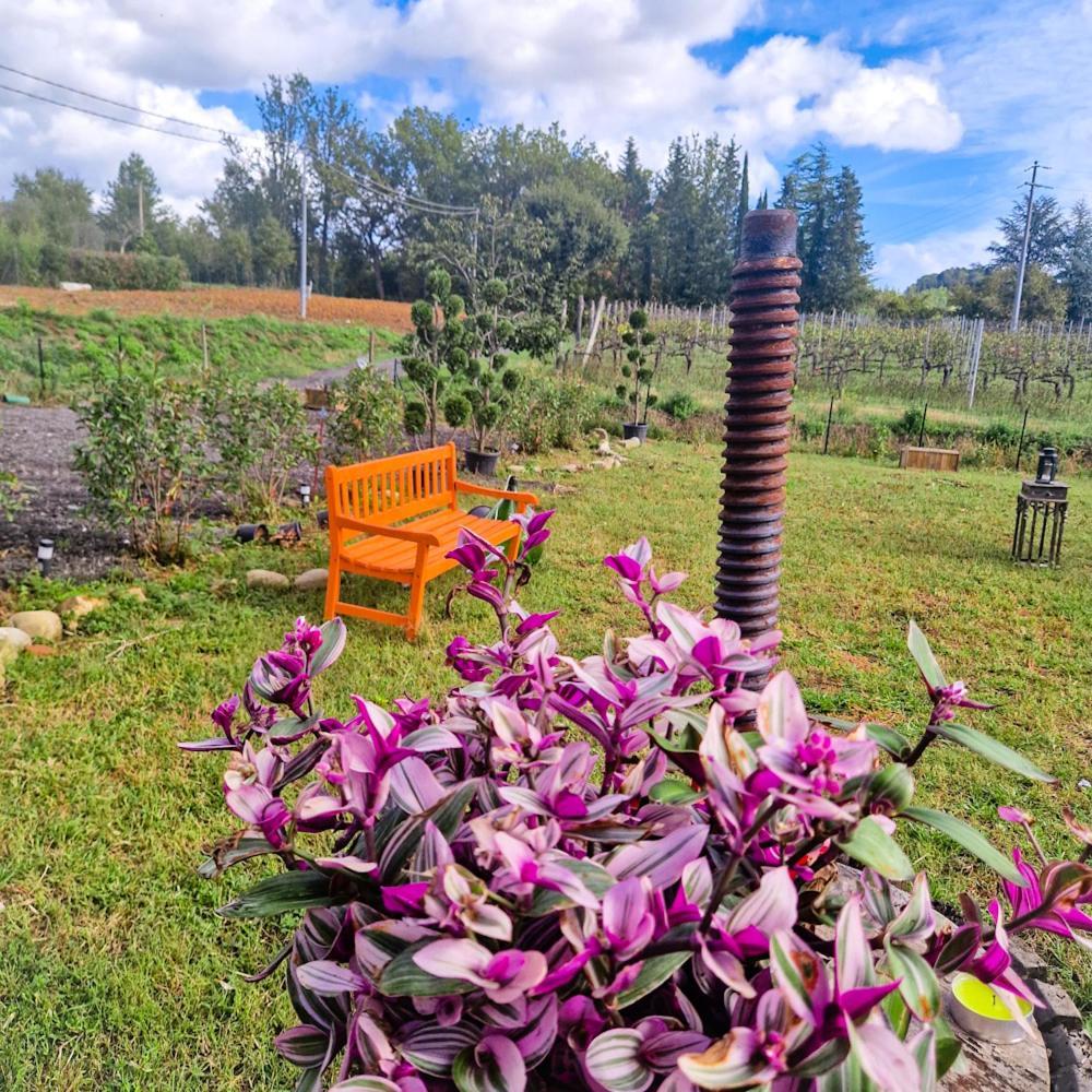Wine House Bed and Breakfast Capannori Εξωτερικό φωτογραφία