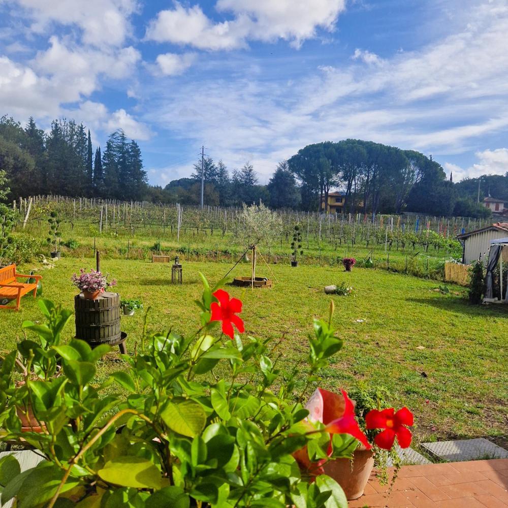 Wine House Bed and Breakfast Capannori Εξωτερικό φωτογραφία