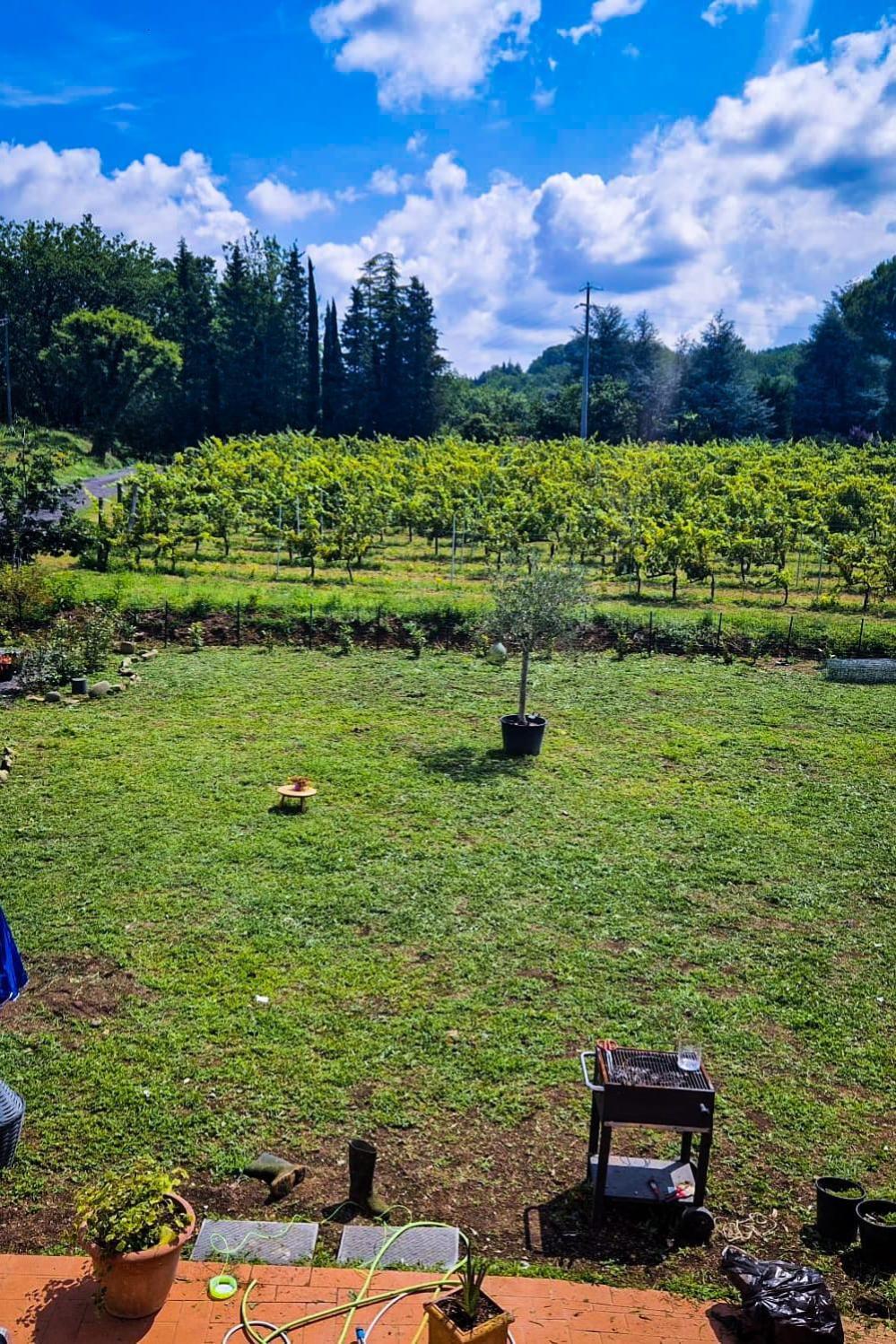 Wine House Bed and Breakfast Capannori Εξωτερικό φωτογραφία