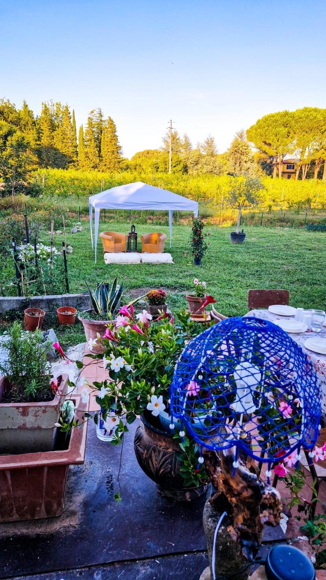Wine House Bed and Breakfast Capannori Εξωτερικό φωτογραφία