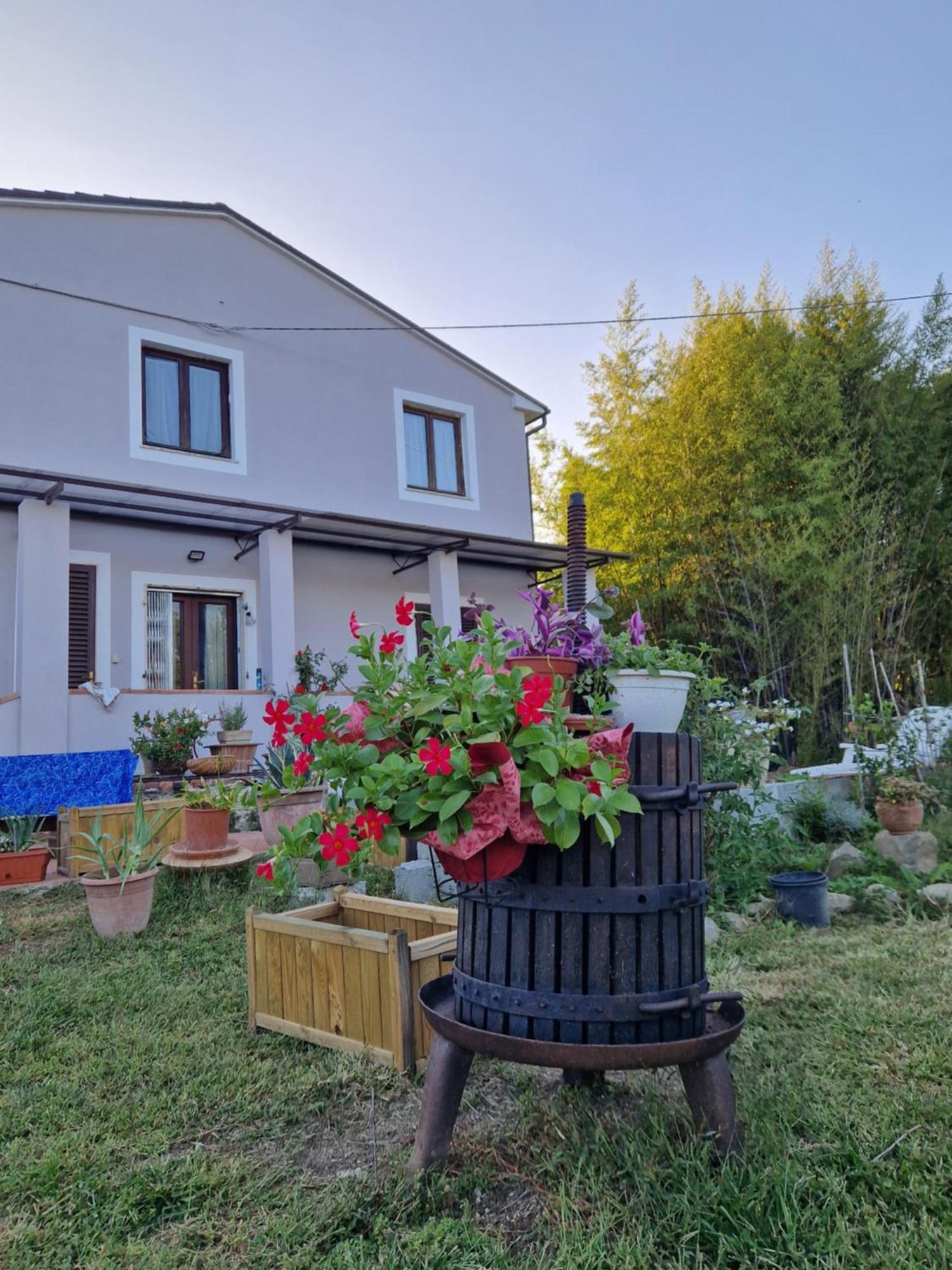 Wine House Bed and Breakfast Capannori Εξωτερικό φωτογραφία